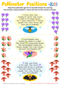 What Is the Numerator? Worksheet